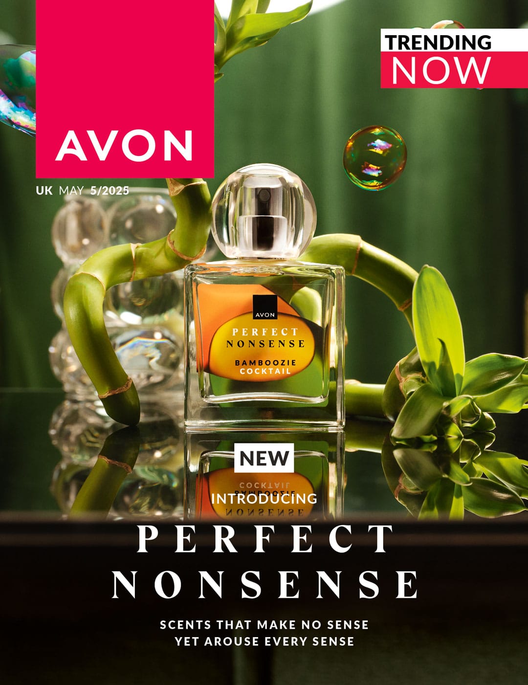 WhatsApp Image 2025-05-16 at 13.34.57.jpeg (161 KB)