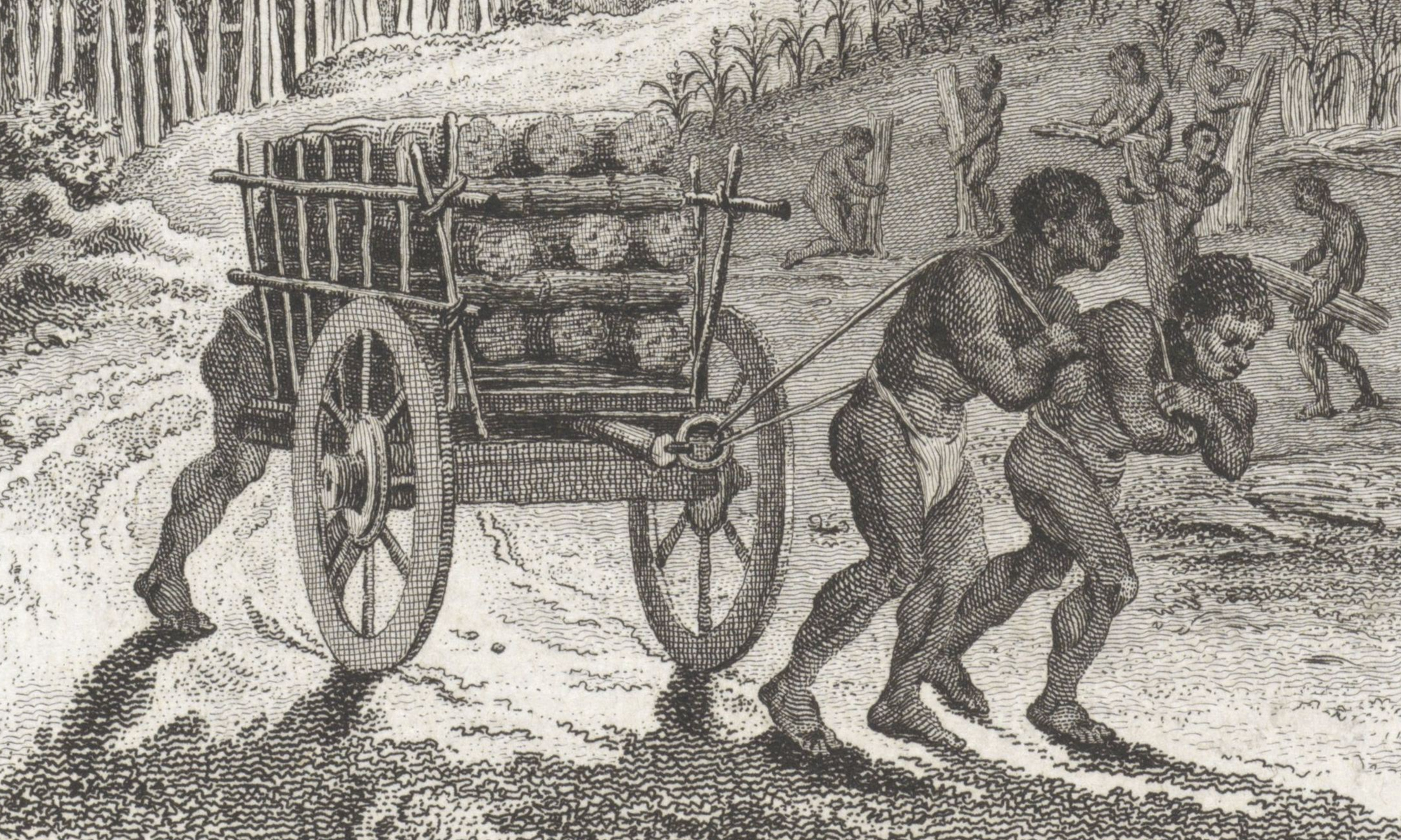 slavery_1.jpg (1.76 MB)