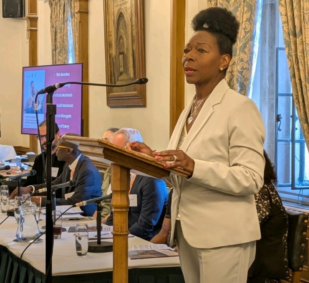 Baroness_Floella_Benjamin at APPG on AJ June 2025.jpeg (212 KB)